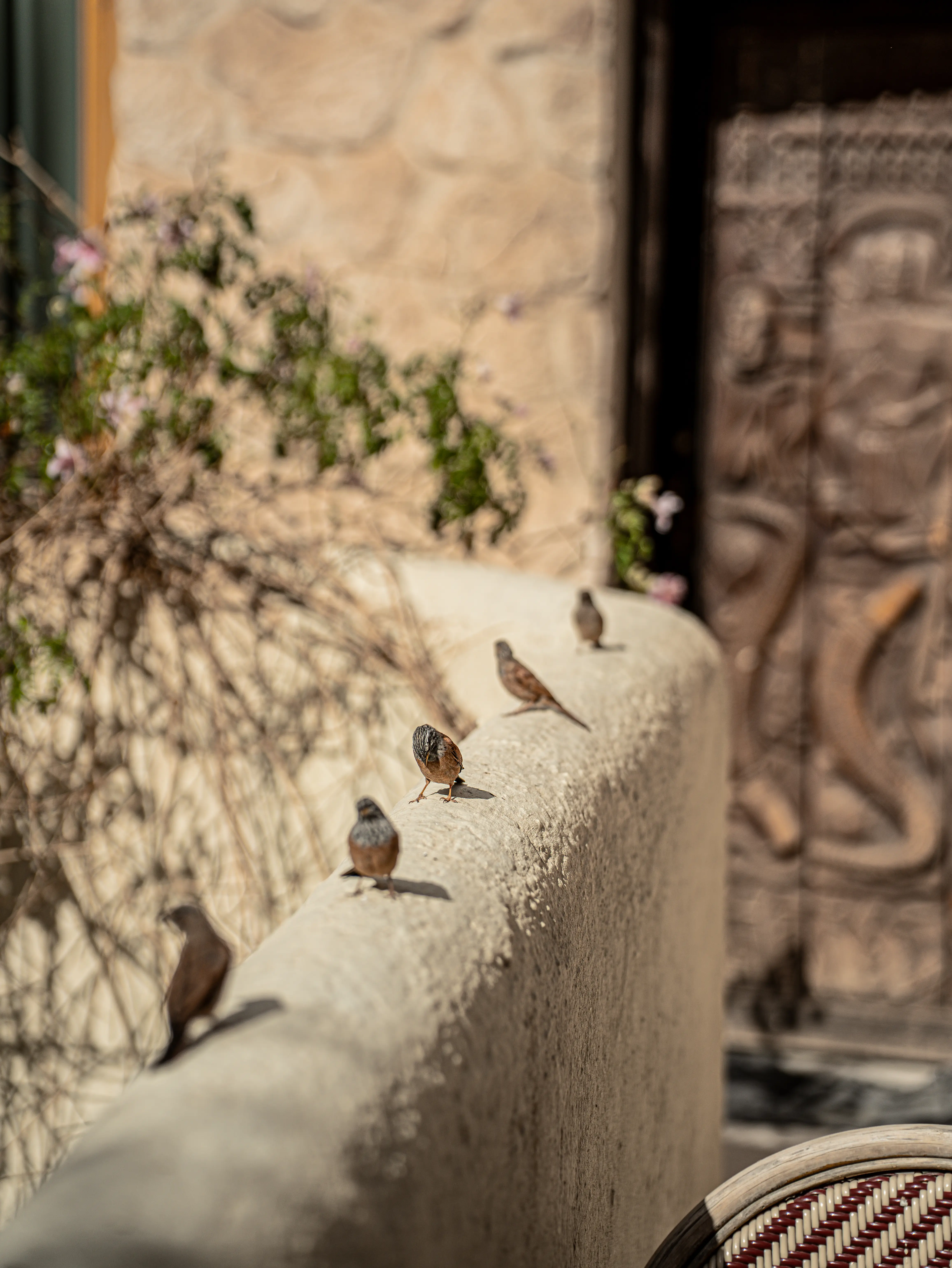 Serene rooftop dining area at Pure House Marrakech where guests enjoy quiet mornings and the charm of the historic Medina.