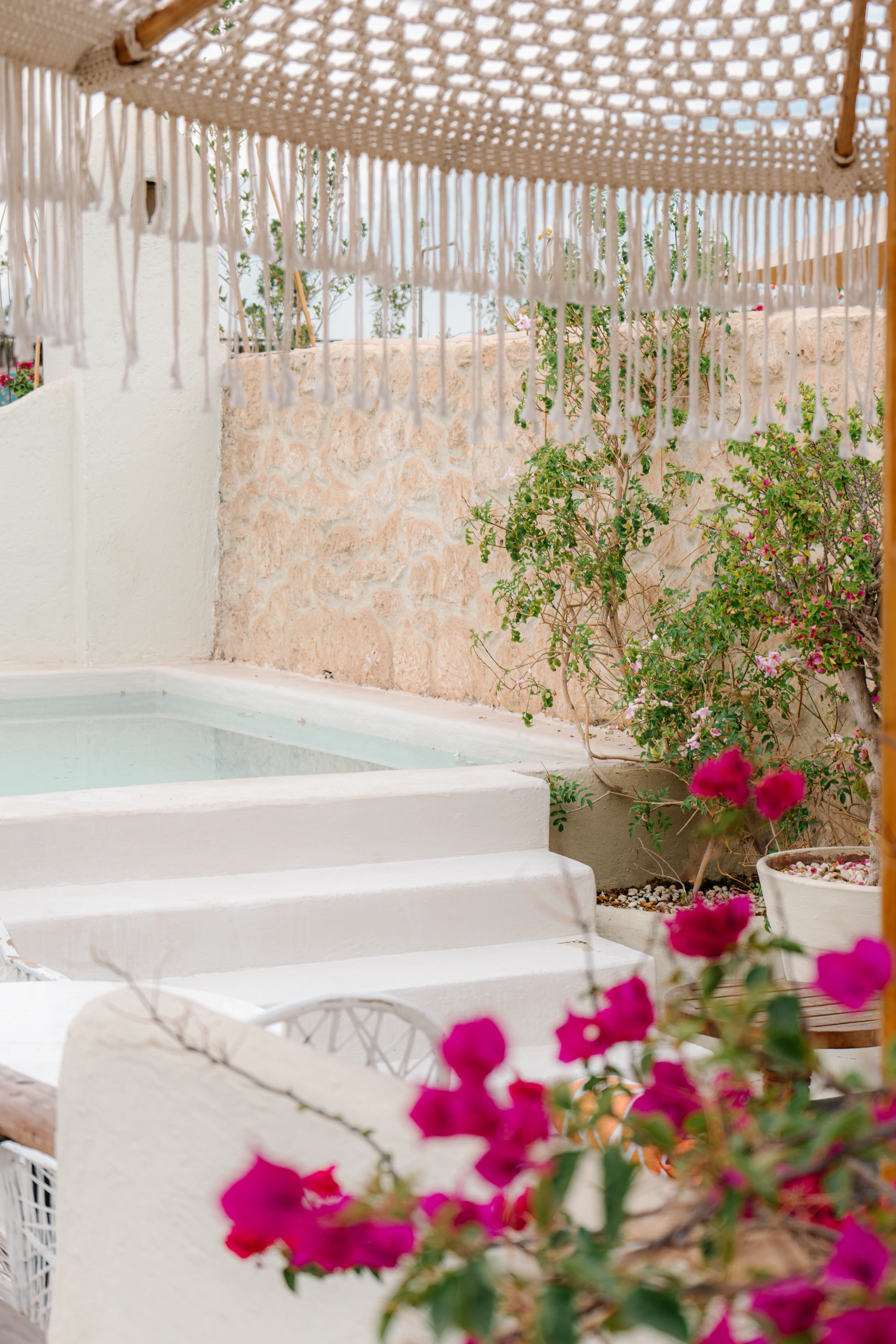 Refreshing courtyard plunge pool surrounded by lush plants, serving as a quiet oasis for adults to relax away from the bustling city. Refreshing courtyard plunge pool surrounded by lush plants, serving as a quiet oasis for adults to relax away from the bustling city.