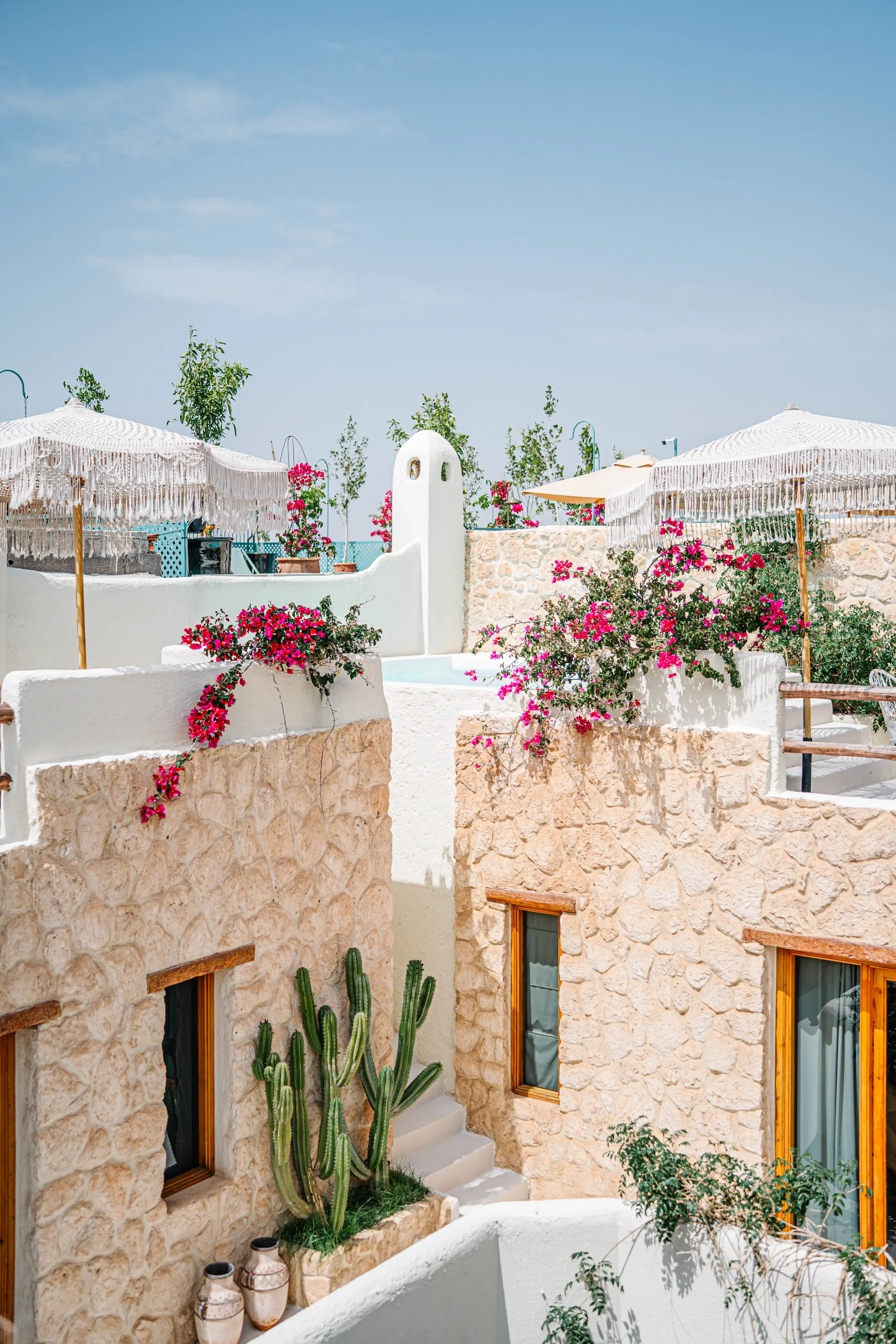 Sunny rooftop terrace at Pure House riad in Marrakech offering panoramic views of the Medina and Atlas Mountains Sunny rooftop terrace at Pure House riad in Marrakech offering panoramic views of the Medina and Atlas Mountains